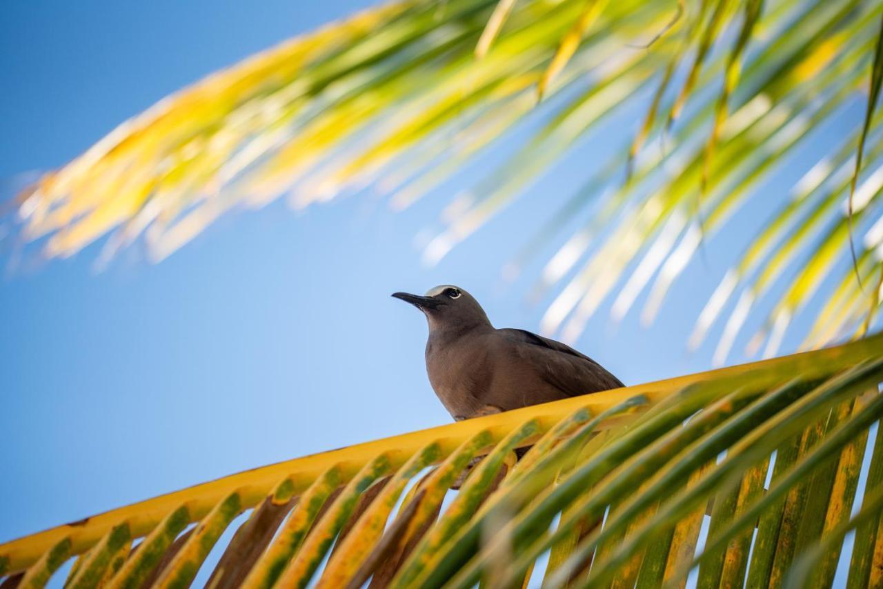 מלון Denis Island Denis Private Island Seychelles מראה חיצוני תמונה